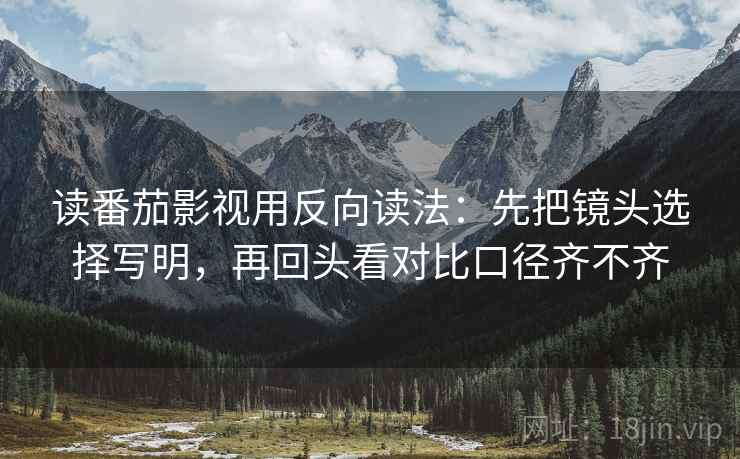 读番茄影视用反向读法：先把镜头选择写明，再回头看对比口径齐不齐