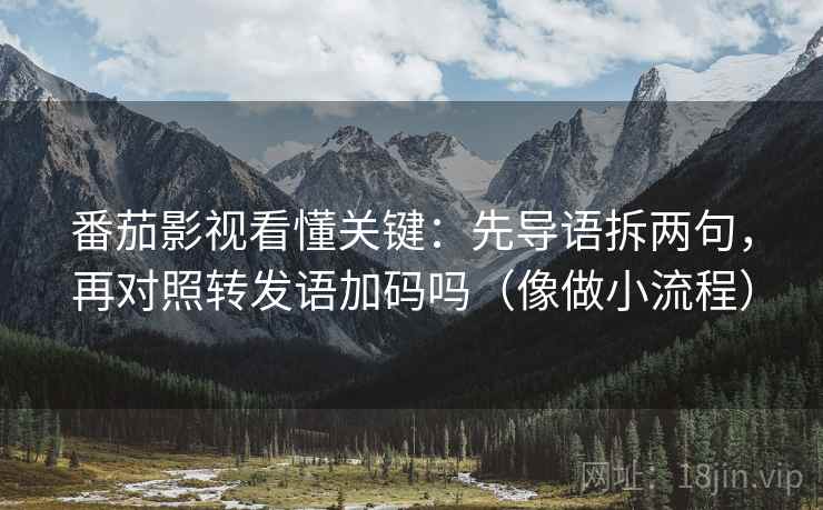 番茄影视看懂关键：先导语拆两句，再对照转发语加码吗（像做小流程）