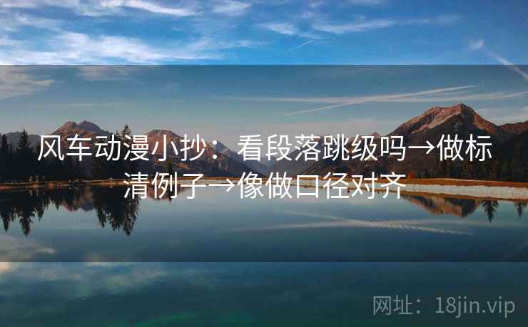 风车动漫小抄：看段落跳级吗→做标清例子→像做口径对齐